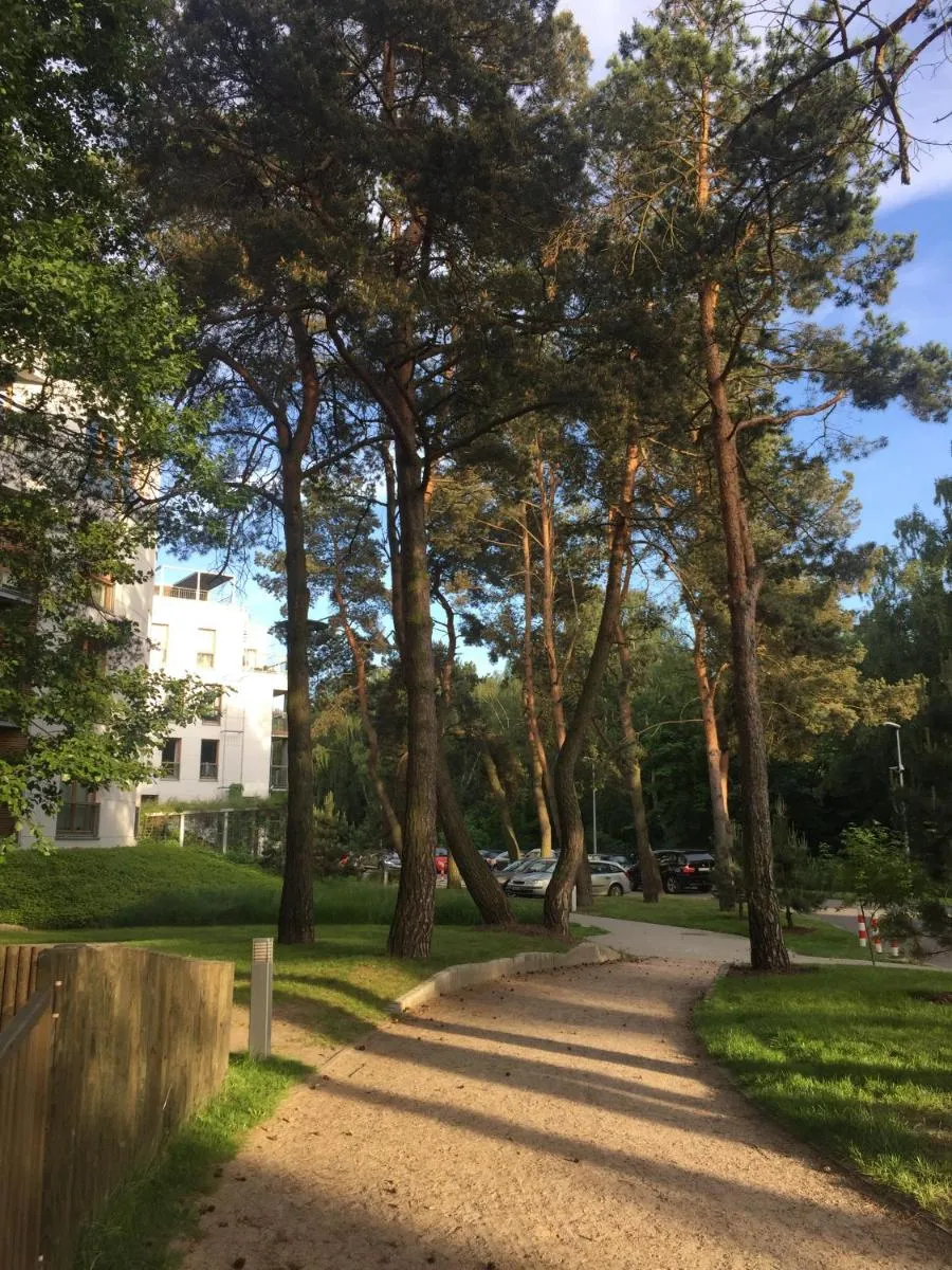 Image 5 of Apartament Nadmorski Gold