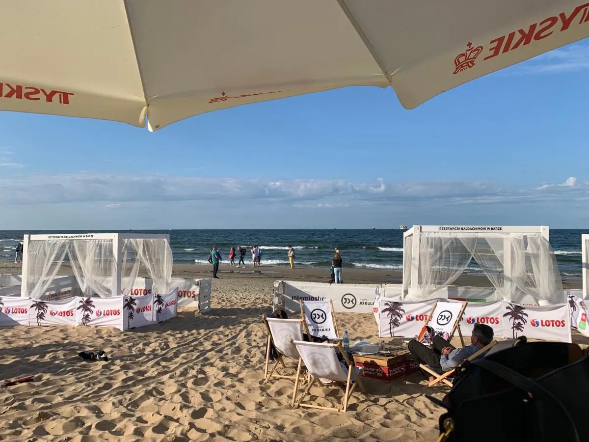 Image 5 of King Chris