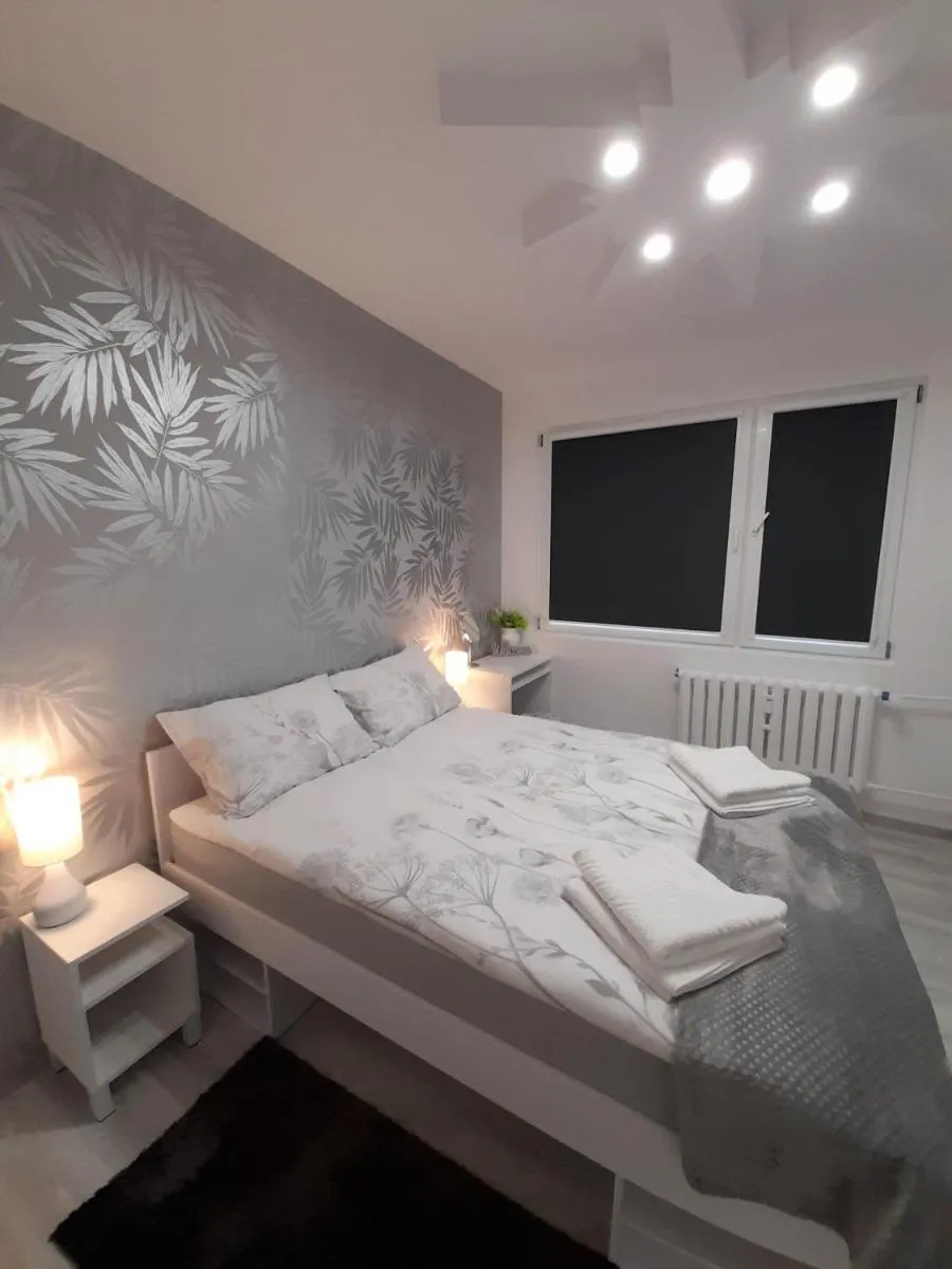 Image 6 of Magnes Apartment Gdansk