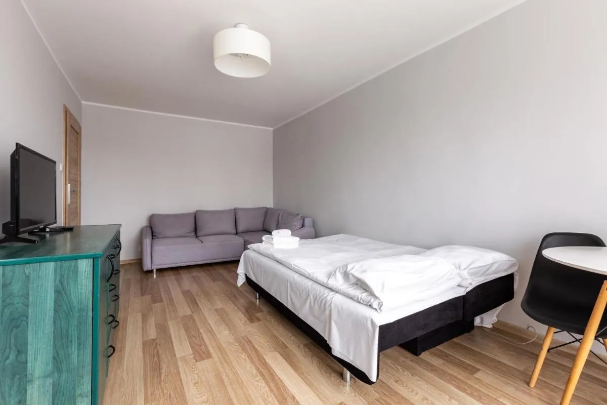 Image 4 of Ostroroga Standard Studio