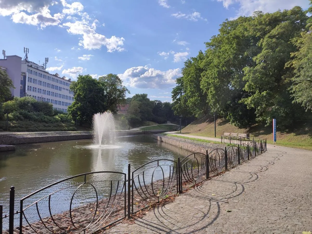 Image 5 of APARTAMENT PRZY PARKU ŚRÓDMIEŚCIE