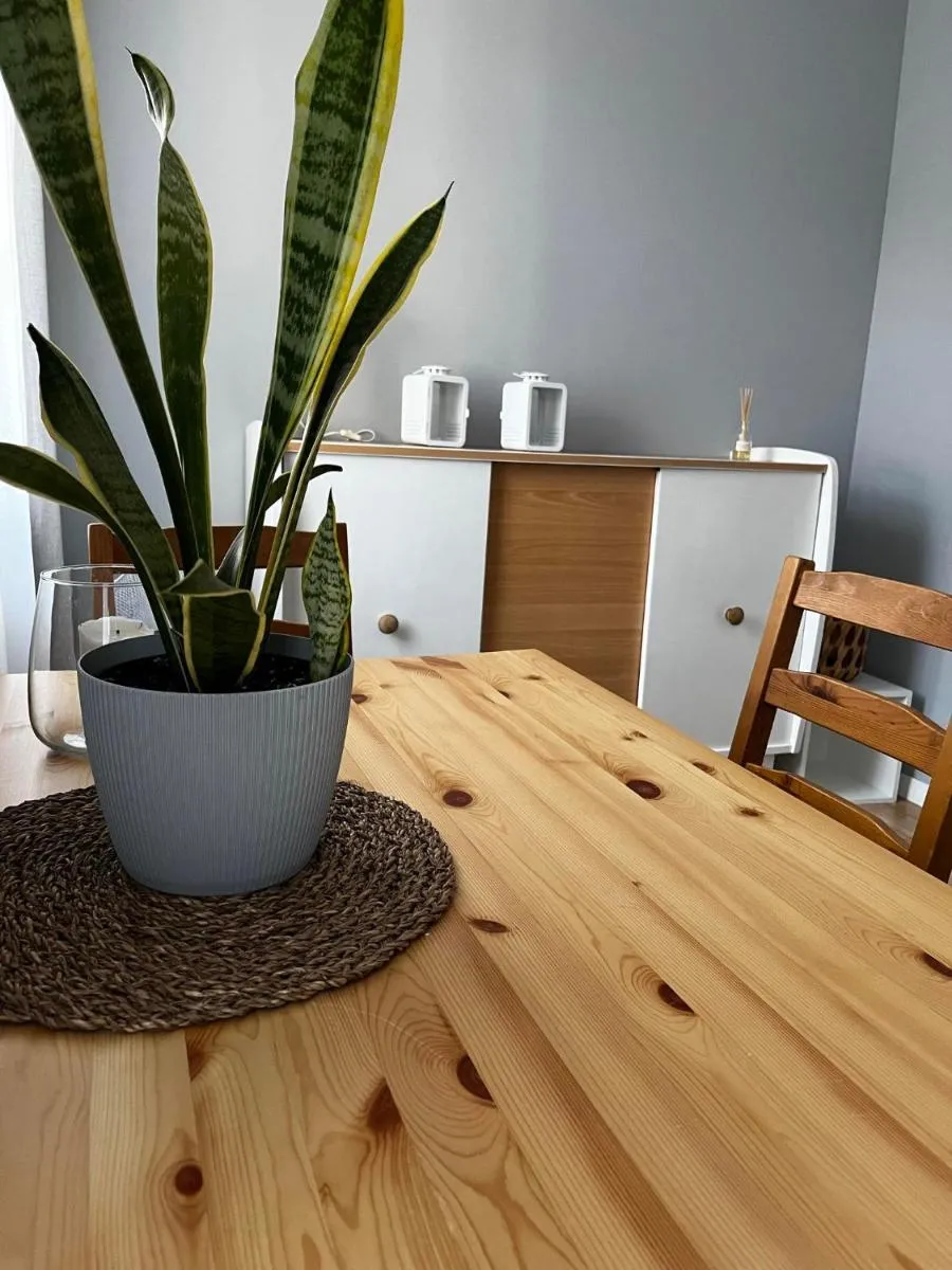 Image 3 of Apartament Ekonomiczny