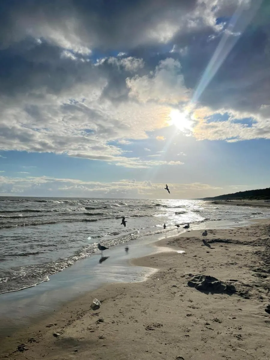 Image 5 of Apartament Gdańsk