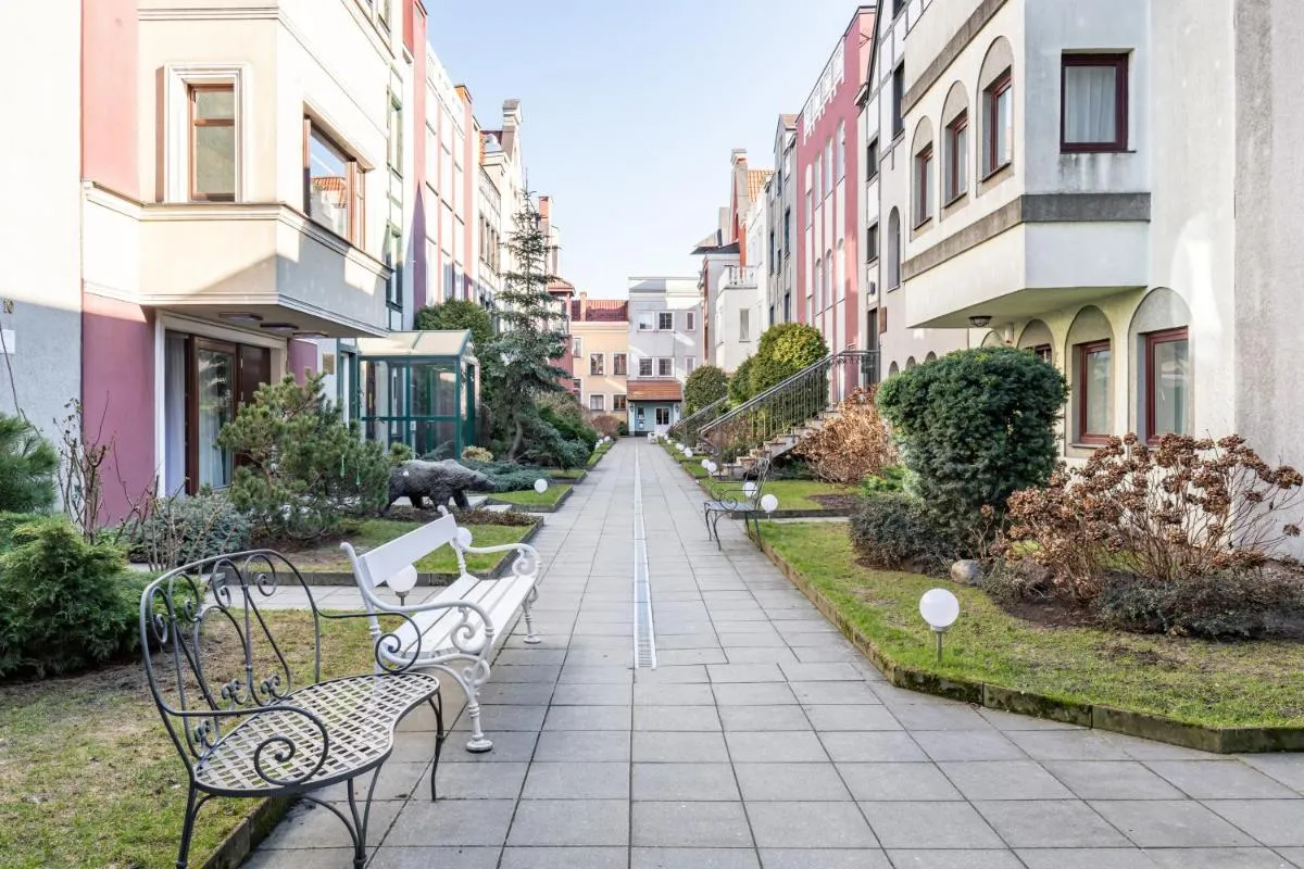 Image 5 of BLACK BEAR