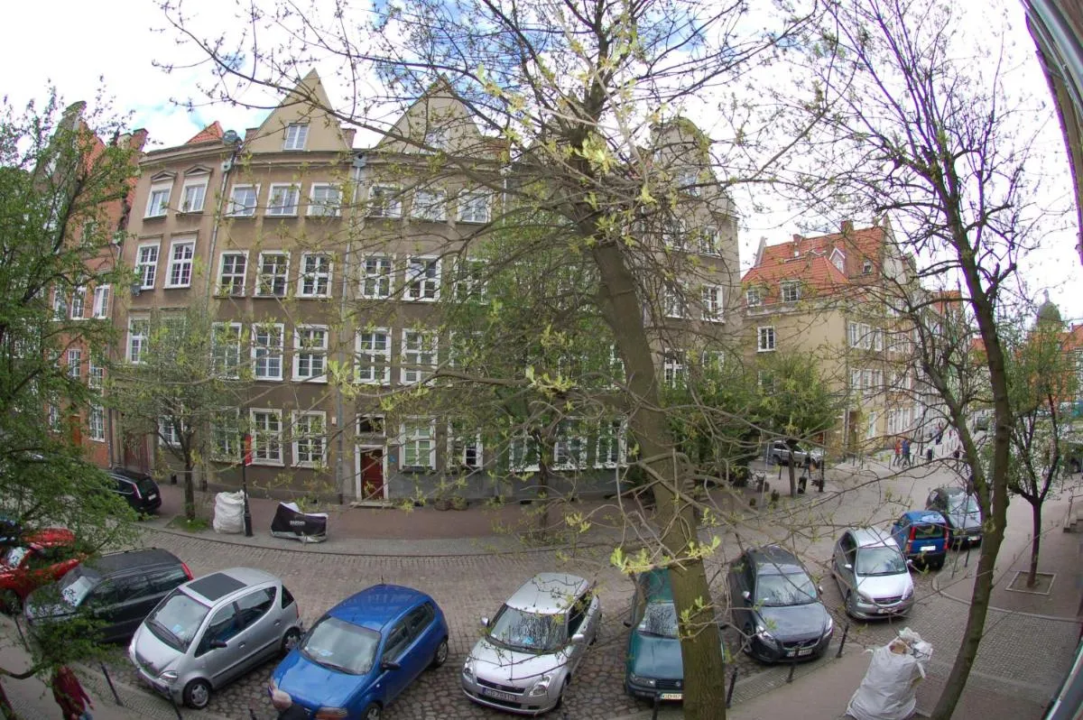 Image 5 of Grand Tourist Gemini II