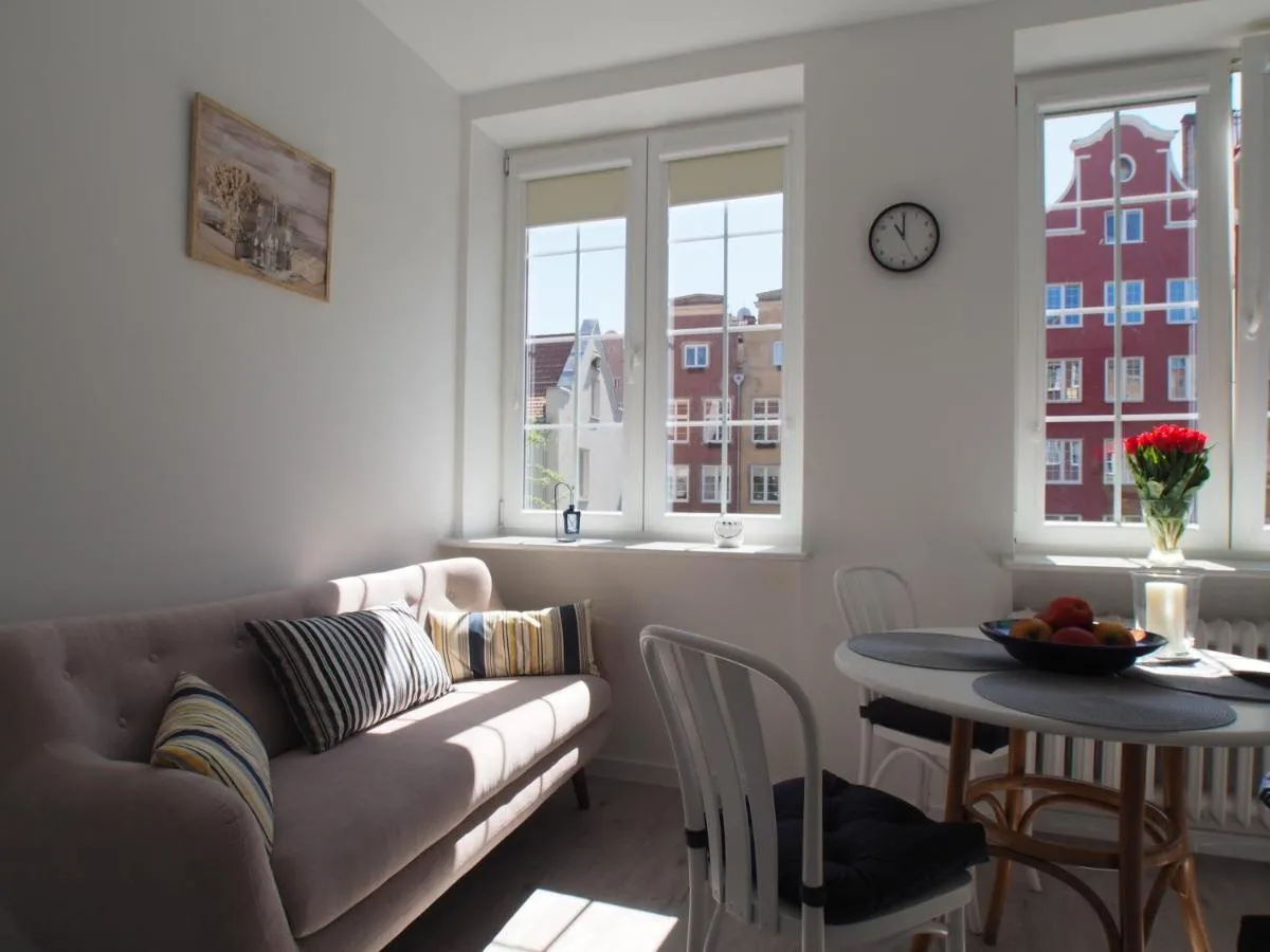 Image 3 of Grand Tourist Gemini II