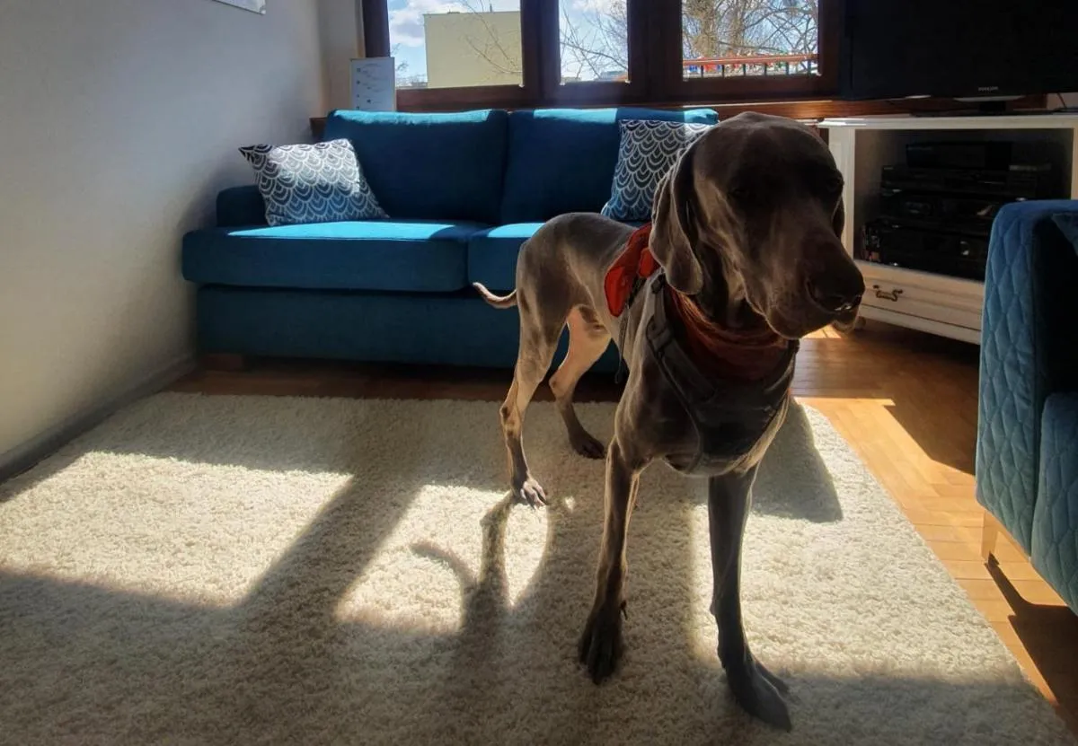 Image 3 of JLS Apartament z parkingiem przy plaży