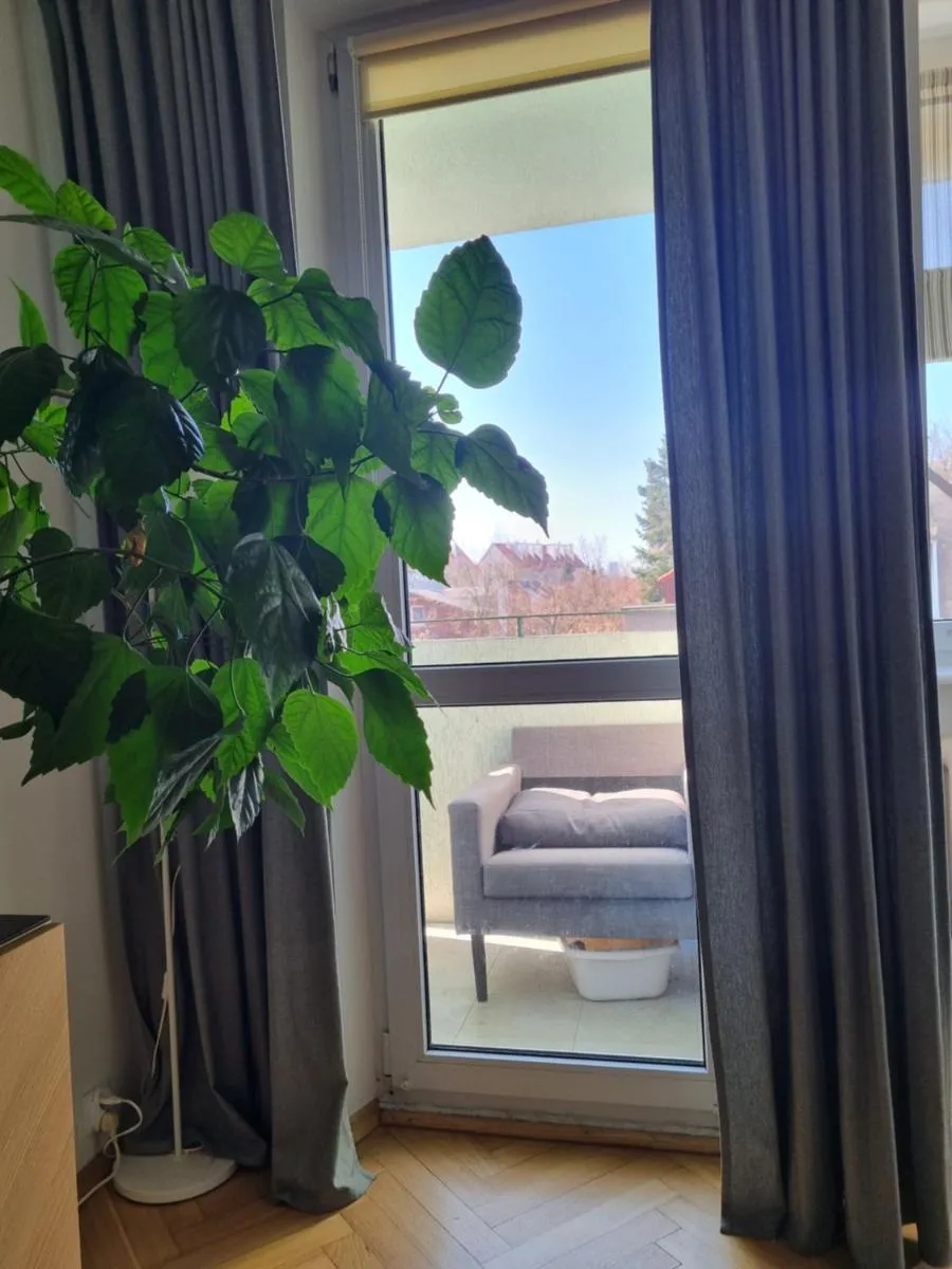 Image 3 of Mieszkanie nad morzem, 300m od plaży!