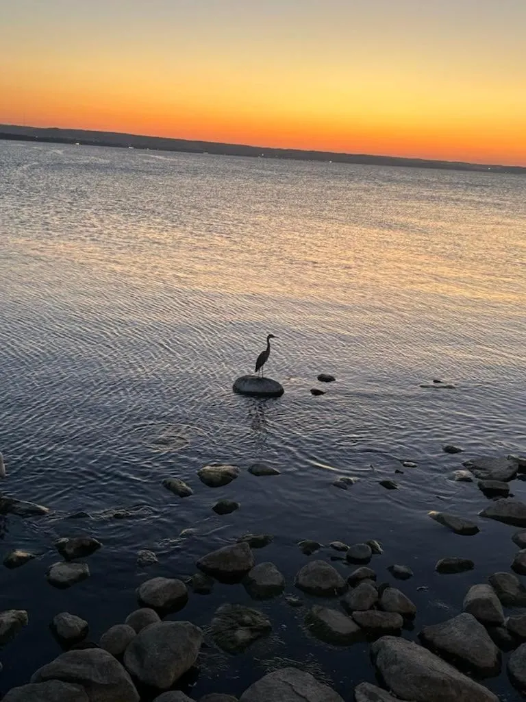 Image 6 of Nadmorska Miła