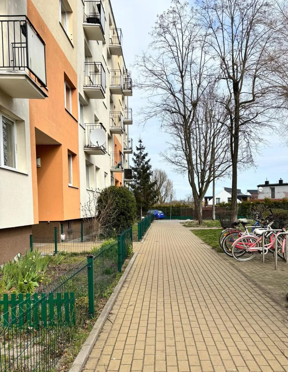 Image 5 of Yellow Lotus