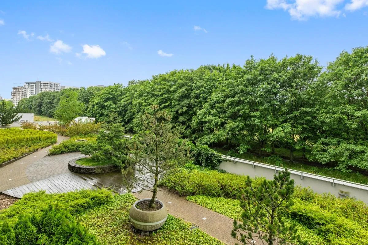 Image 4 of Awiator Seaside by Downtown Apartments