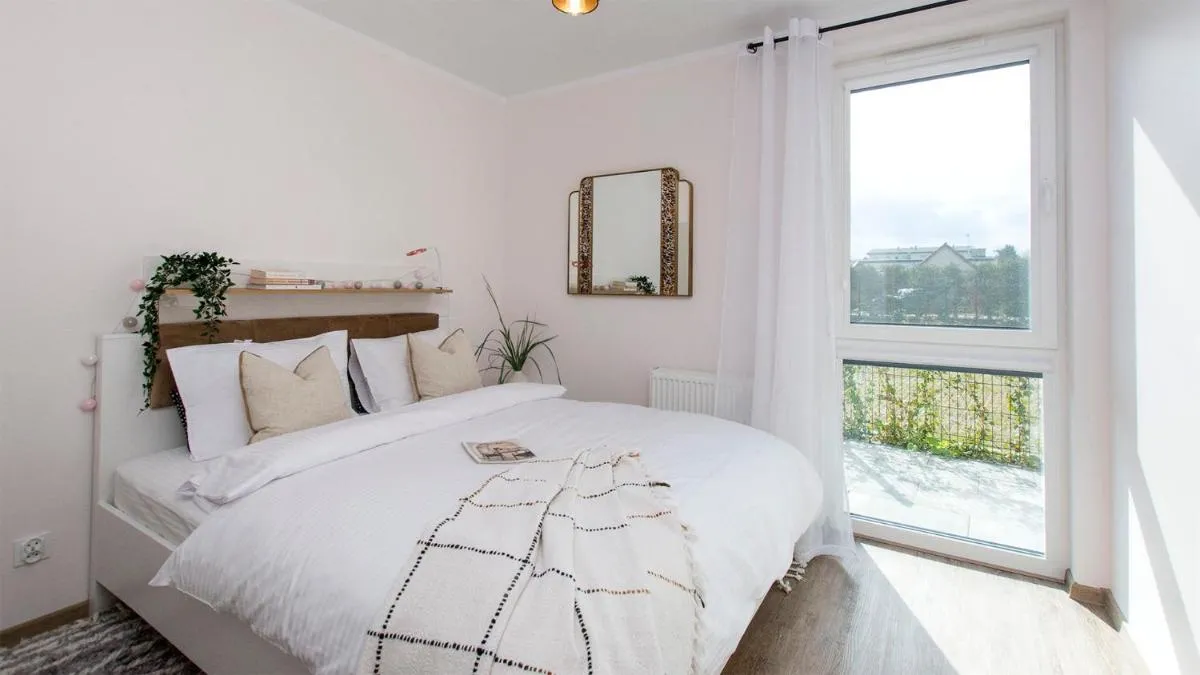 Image 4 of Baltic Line – Sobieszewski Raj