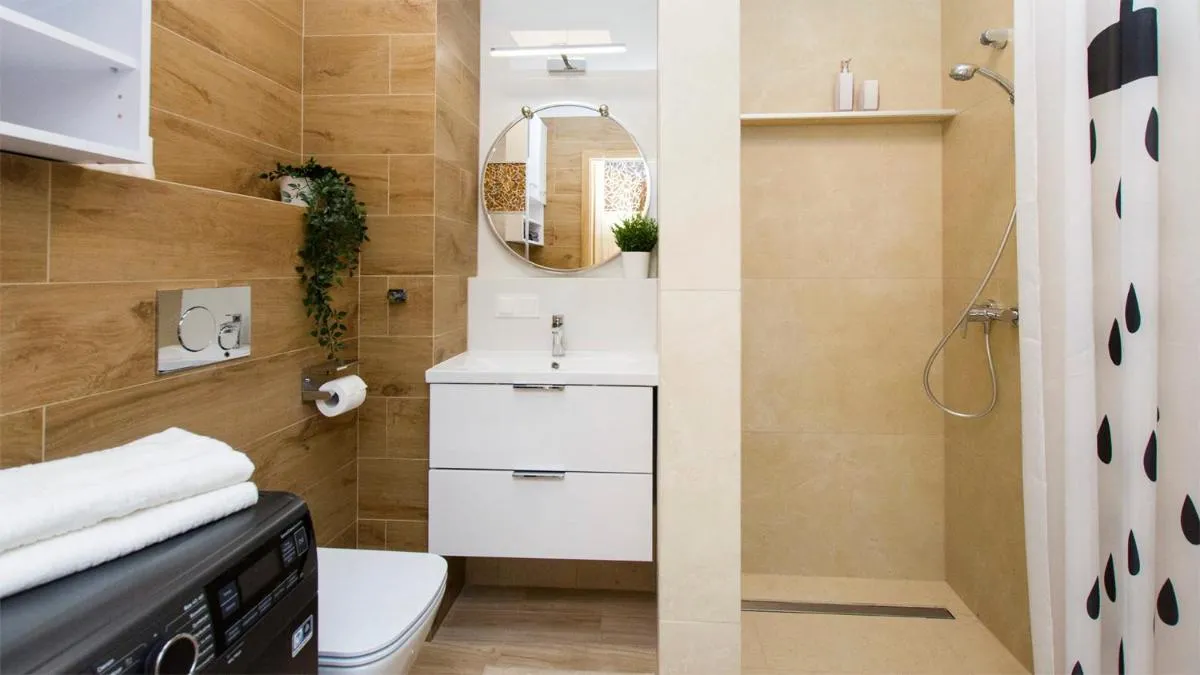 Image 5 of Baltic Line – Sobieszewski Raj