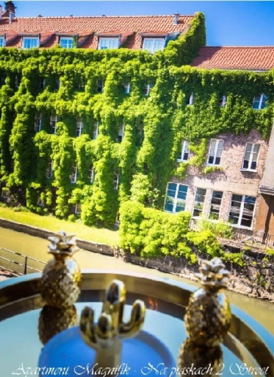 Image 5 of Bayside Apartments