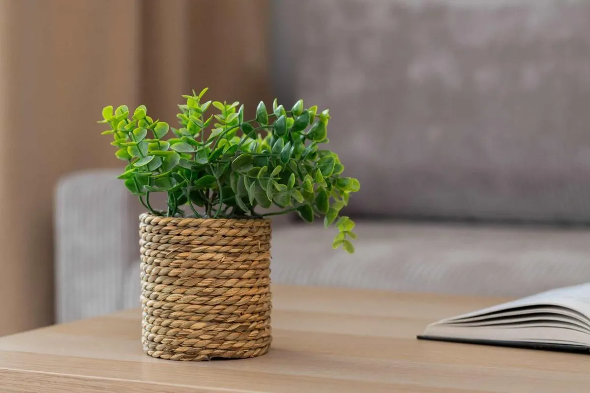 Image 4 of Bright Studio Mostek in Gdańsk with Balcony 3city by Noclegi Renters