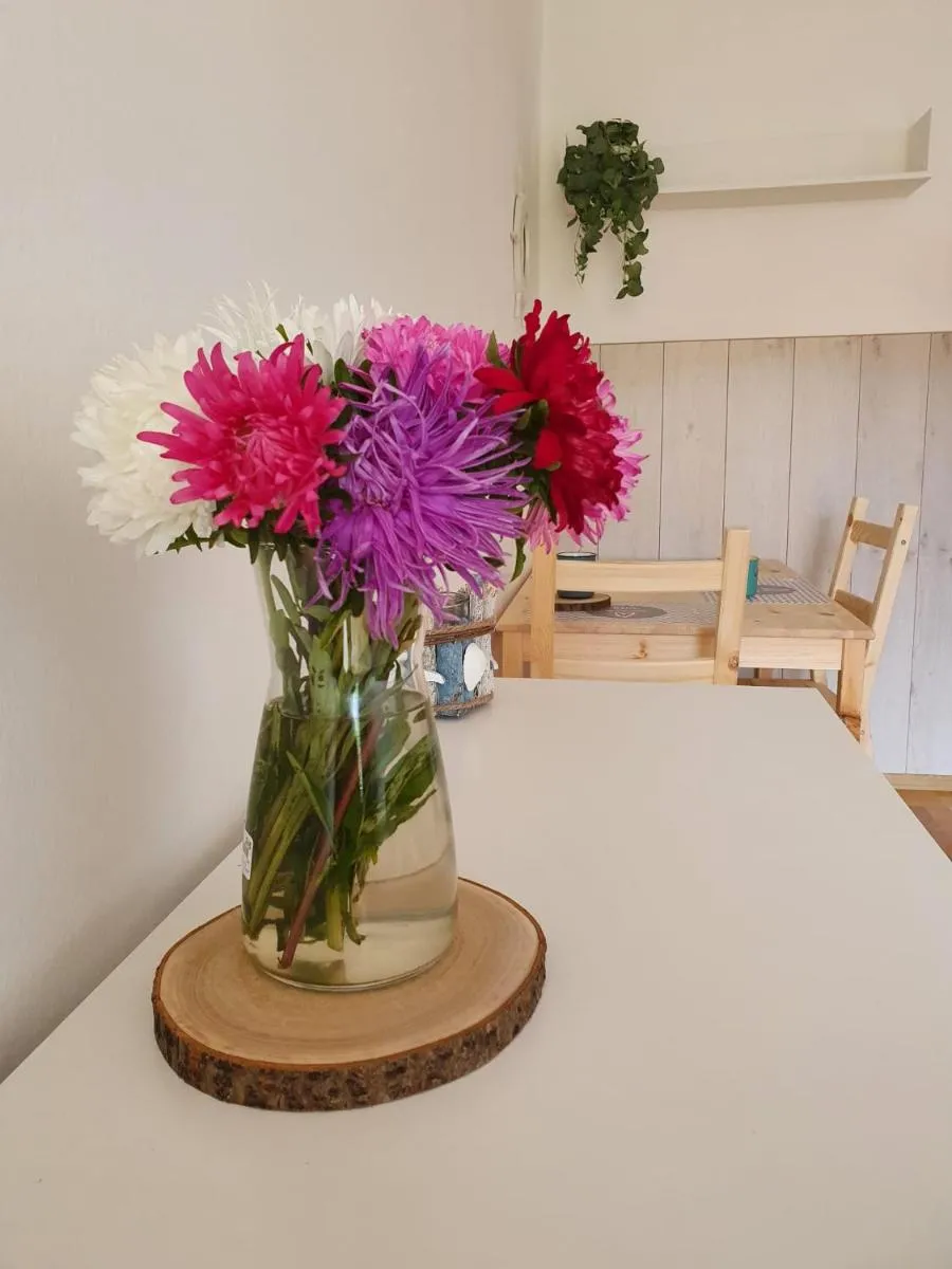 Image 5 of Morski Sen II