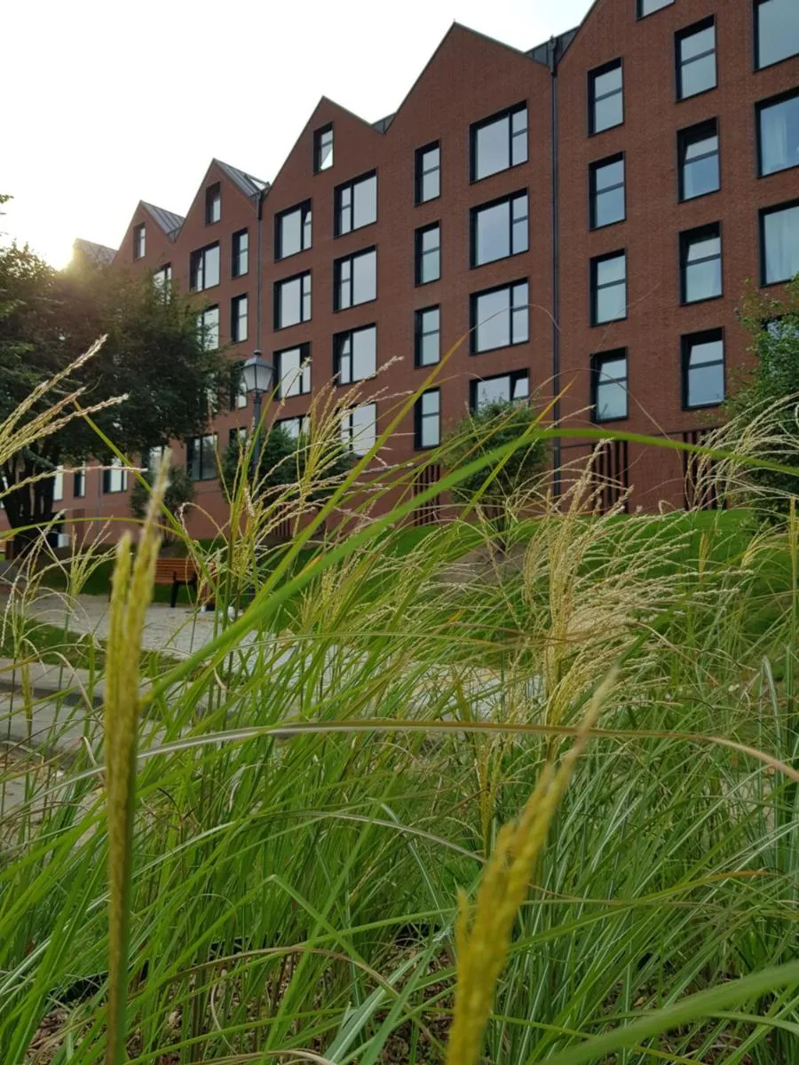 Image 5 of Old Motława Mirror Apartment