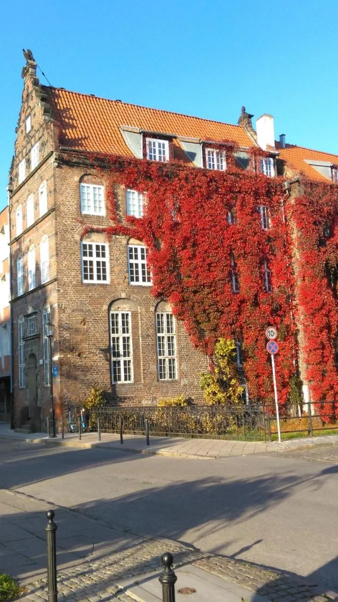 Image 5 of garncarska6