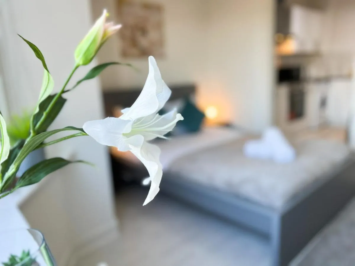 Image 1 of 1Bd Glasgow Apartment