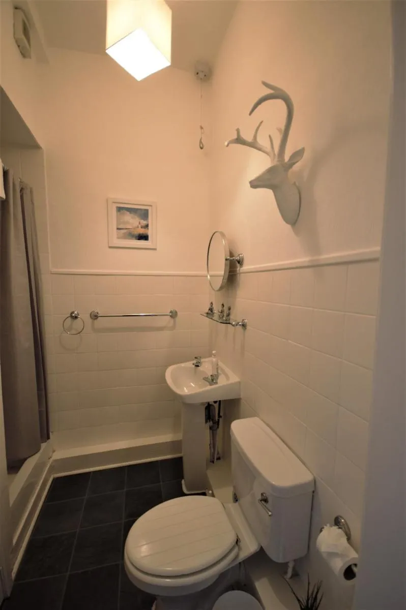 Image 3 of Bright and Cosy West End Apartment