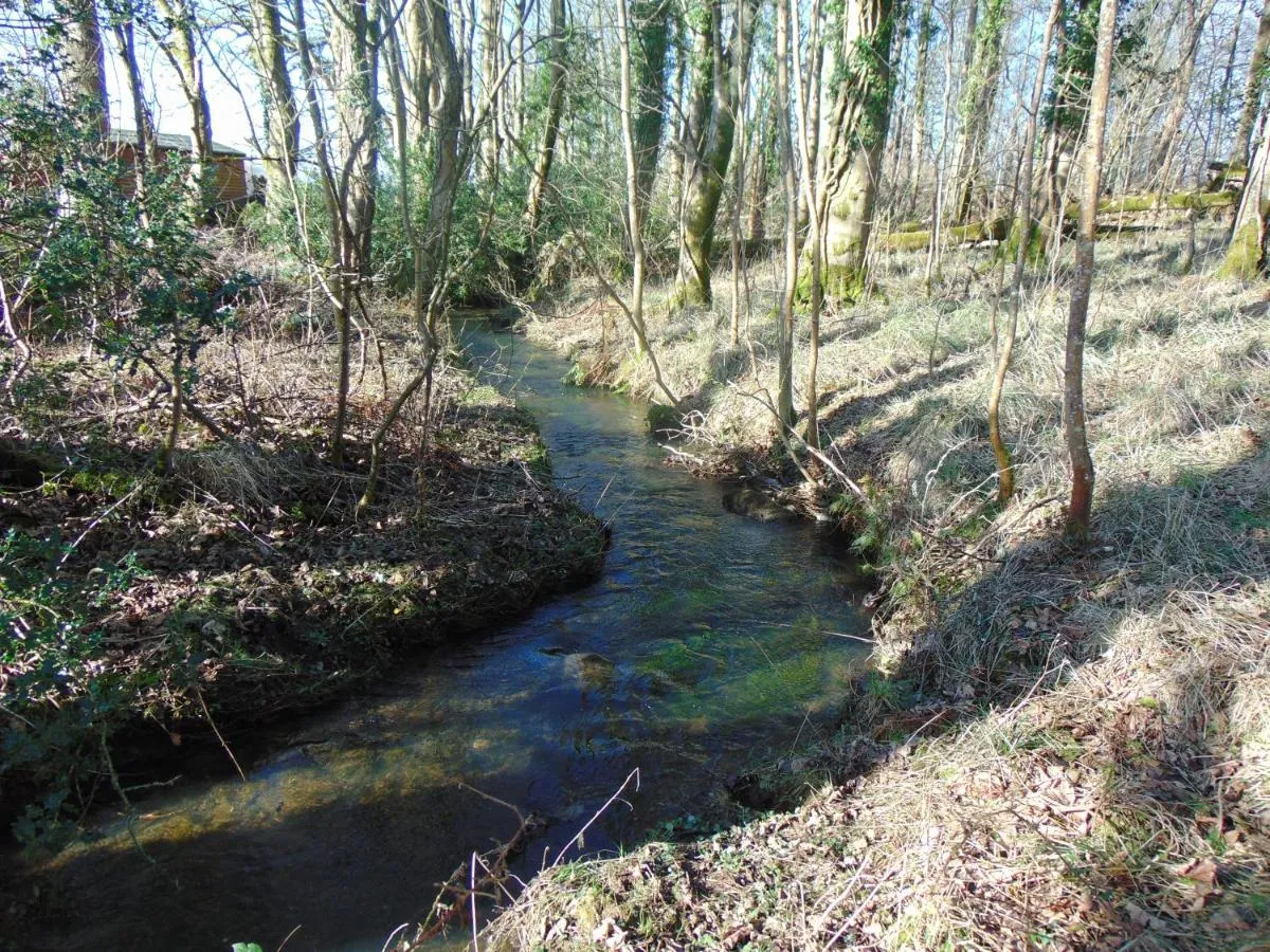 Image 4 of Dreamwood Cottage, Loch Lomond, Luxury Apartment.