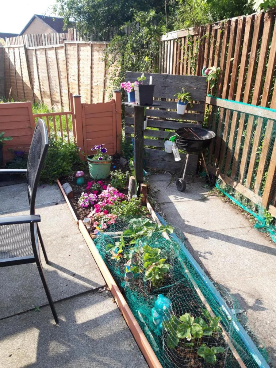 Image 4 of Hardgate Gardens