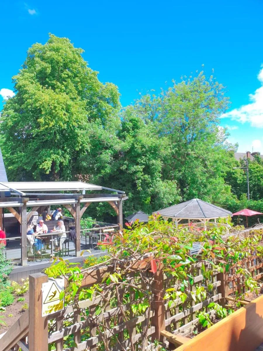 Image 6 of Number 10 Hotel