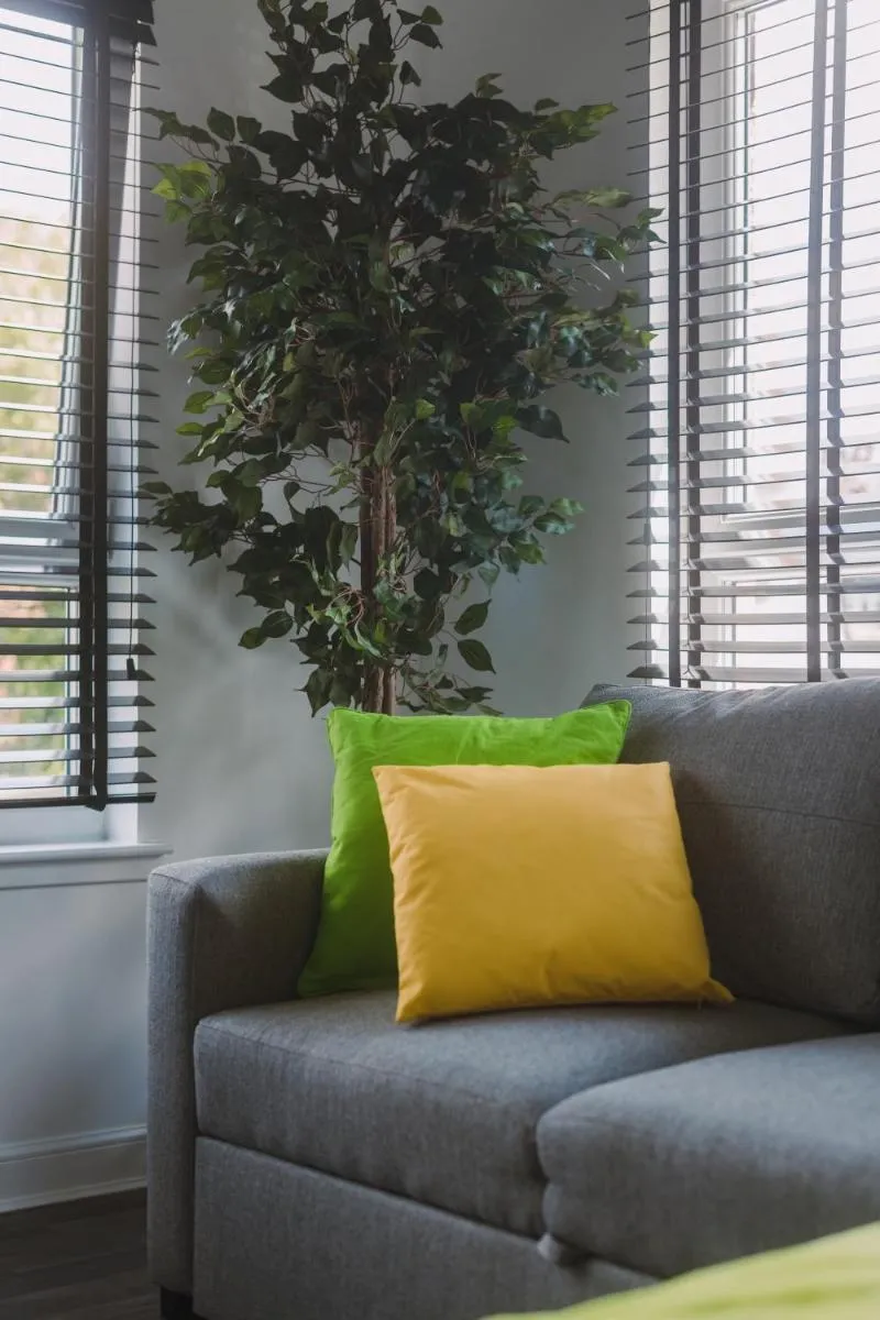 Image 6 of SuperbSleep Apartments