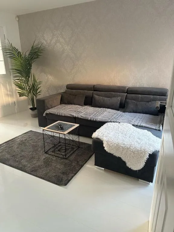 Image of Black Daisy