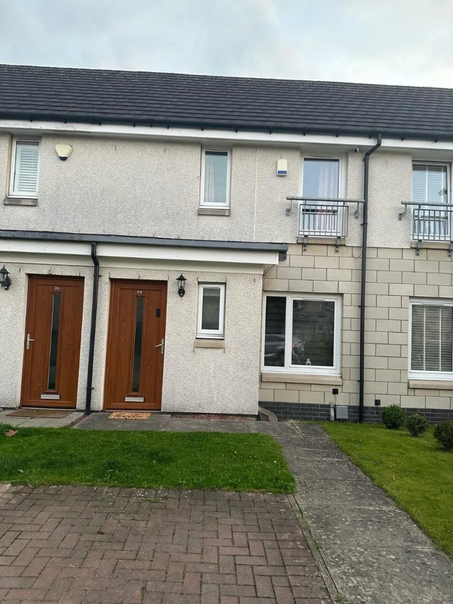 Image 5 of Black Daisy