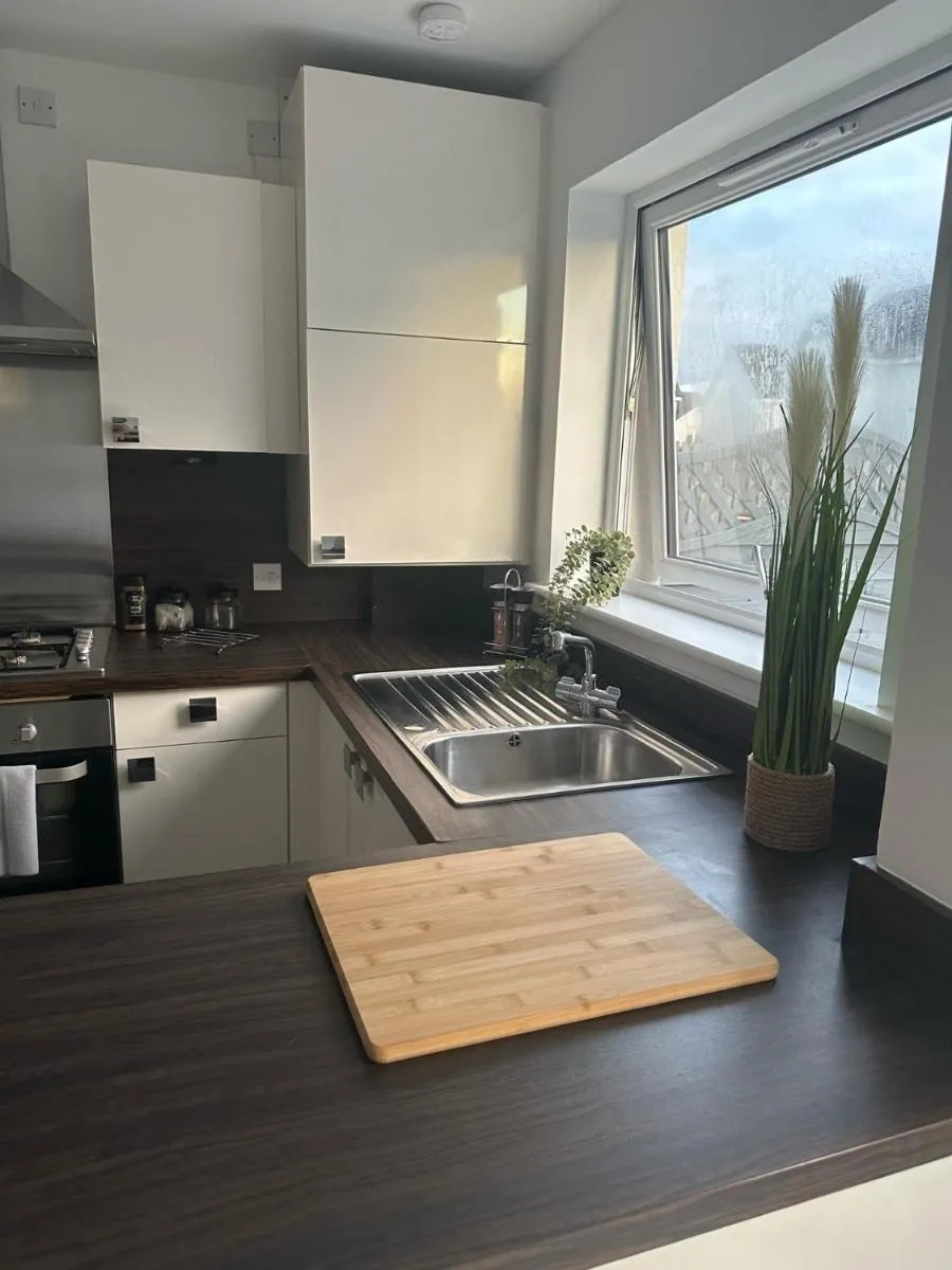 Image 3 of Black Daisy