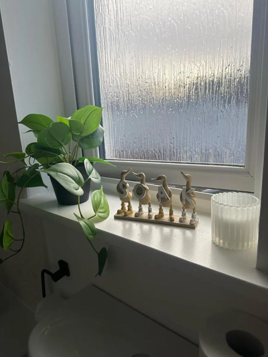 Image 2 of Black Daisy