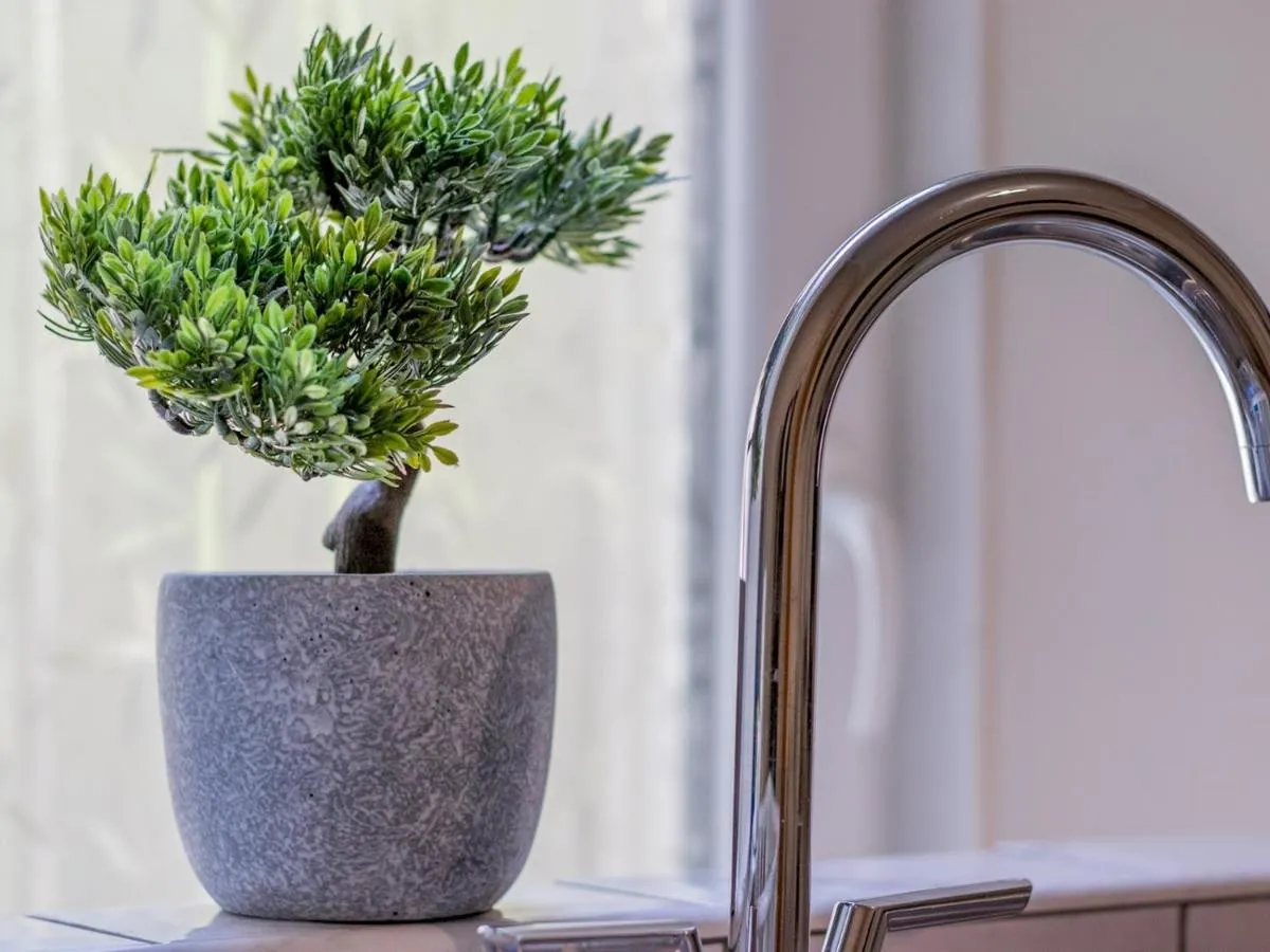 Image 6 of City Haven Main Door & Parking Pass the Keys