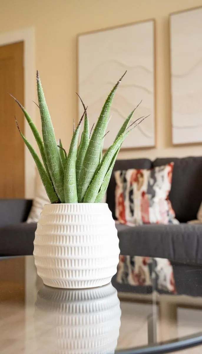 Image 6 of Curtis Apartment