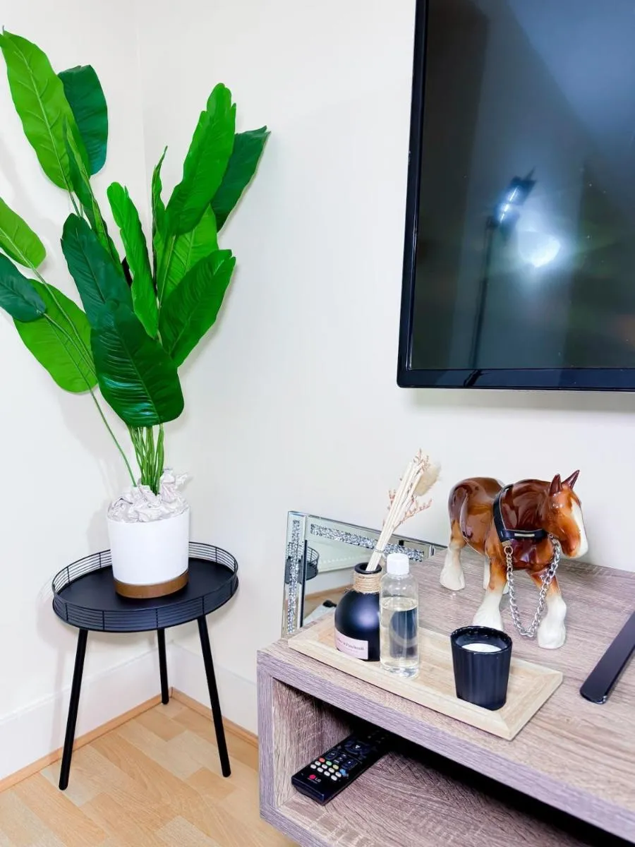 Image 5 of Glasgow City Centre Stylish Flat