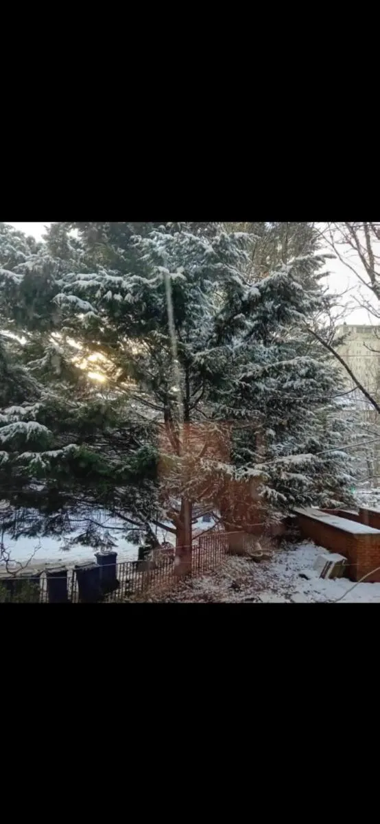 Image 5 of Hampden Hüs