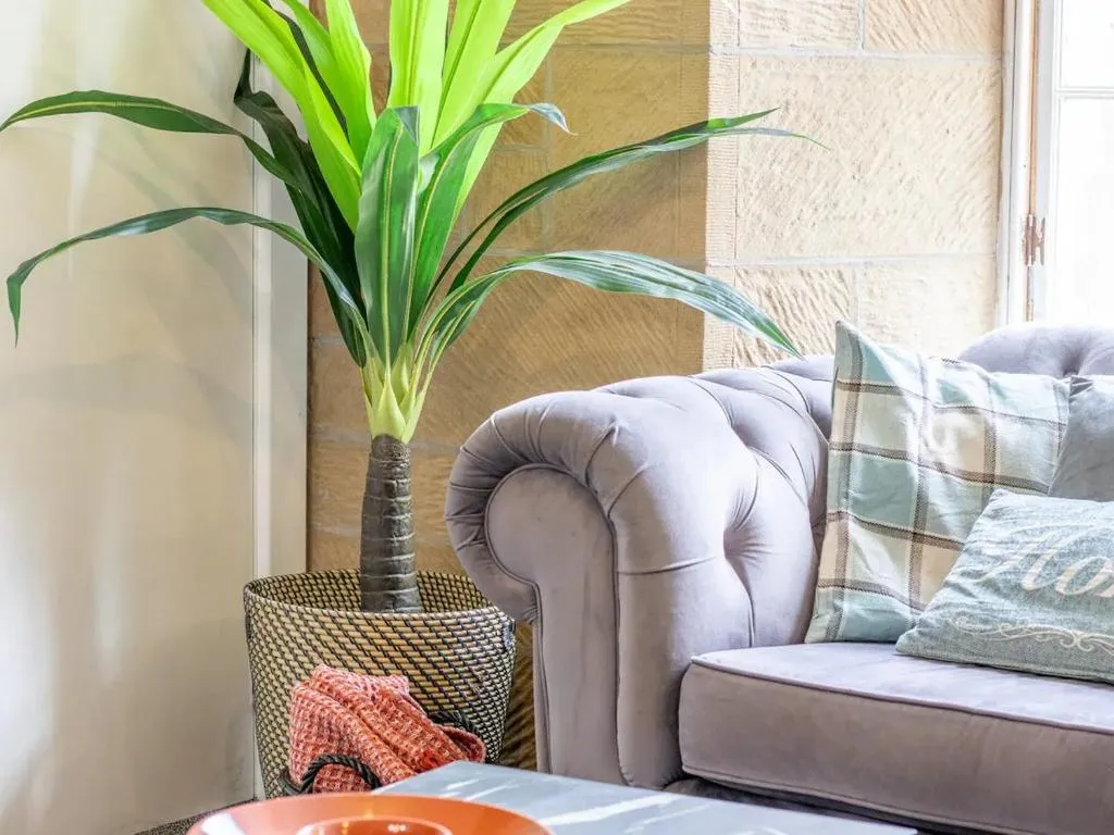 Image of Pass the Keys Private Garden West End with Parking