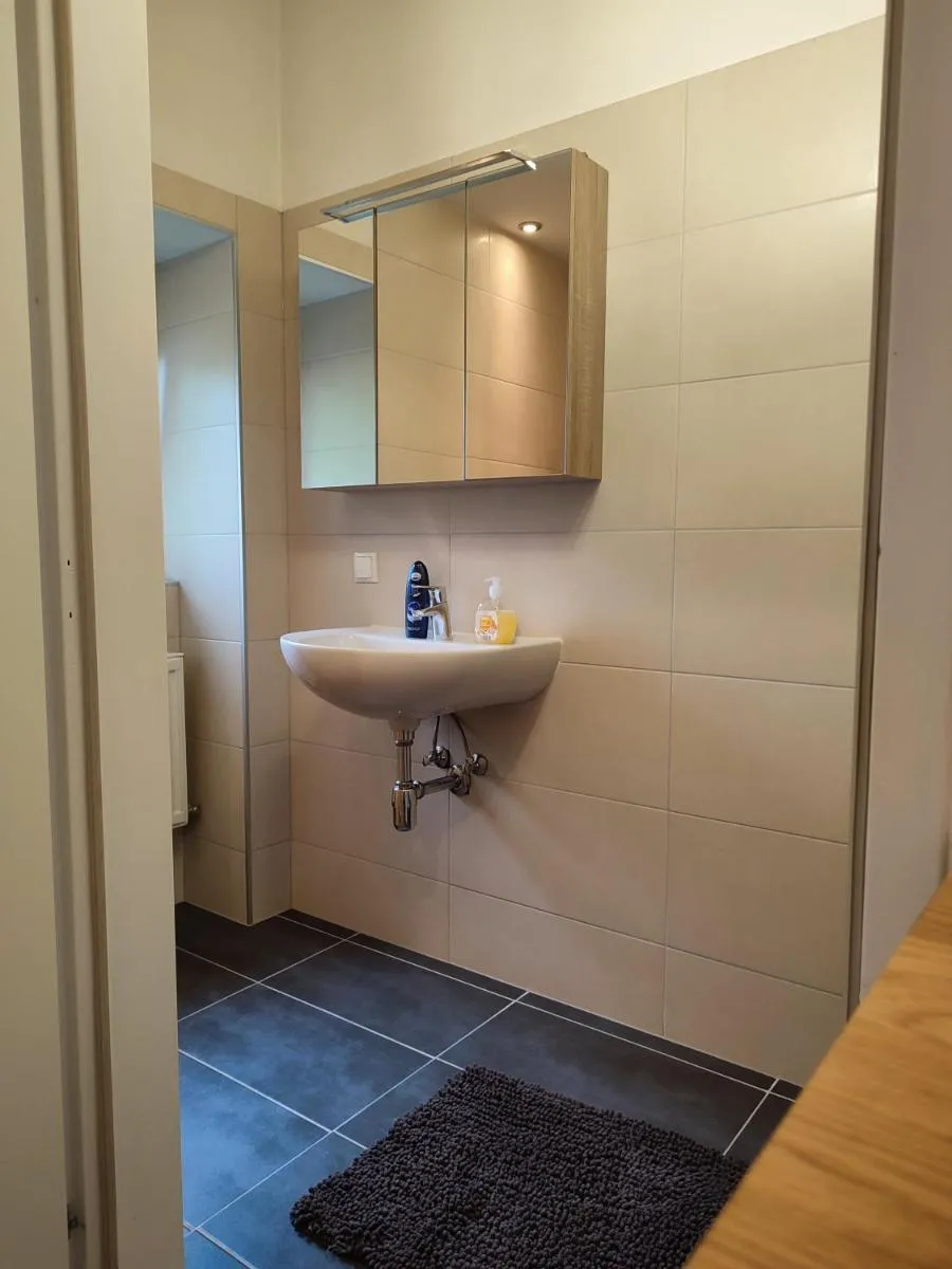 Image 3 of Bookstyrian1