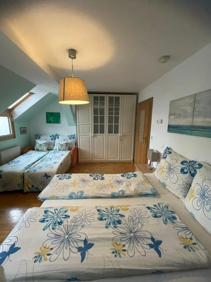 Image 6 of Grazer Schwalbe