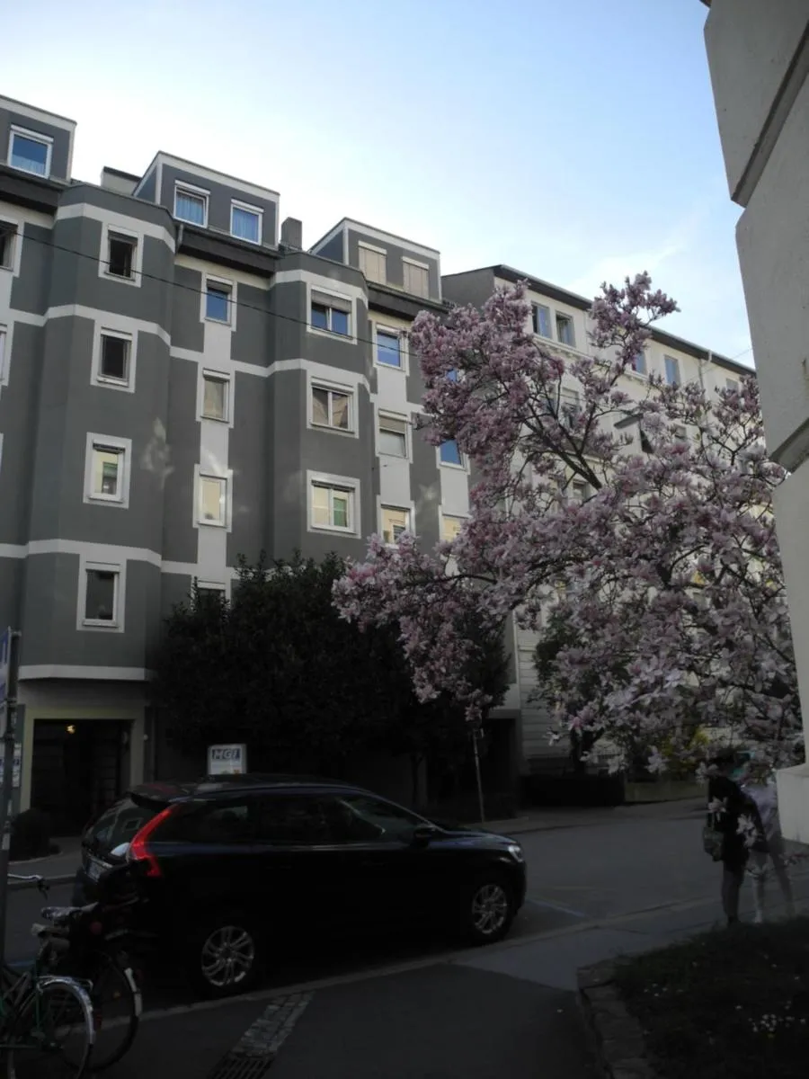 Image 1 of Grazer Spatz