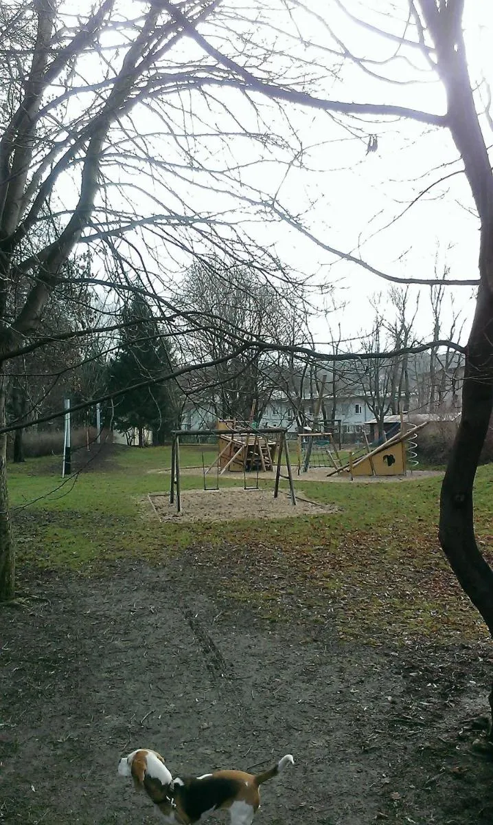 Image 5 of Lighthaus Apartment