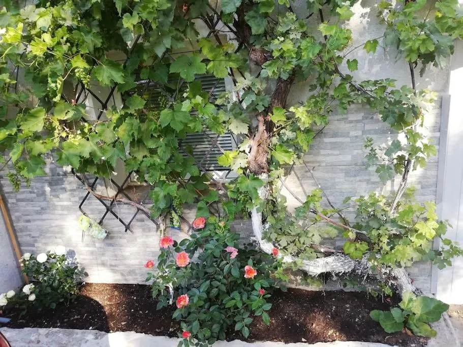 Image 2 of Space Loft Graz