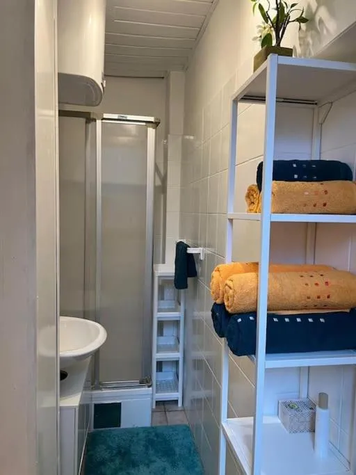 Image 2 of Studio Gospel – Augarten Graz – 29 m²