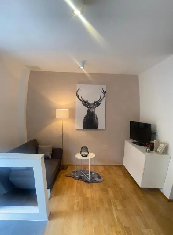 Image of Appartement in Graz-Geidorf