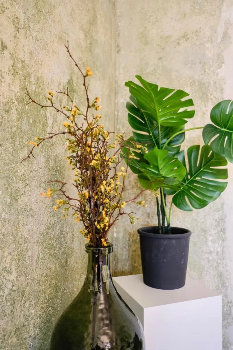 Image 6 of Kunstvolles Apartment im Zentrum – free parking