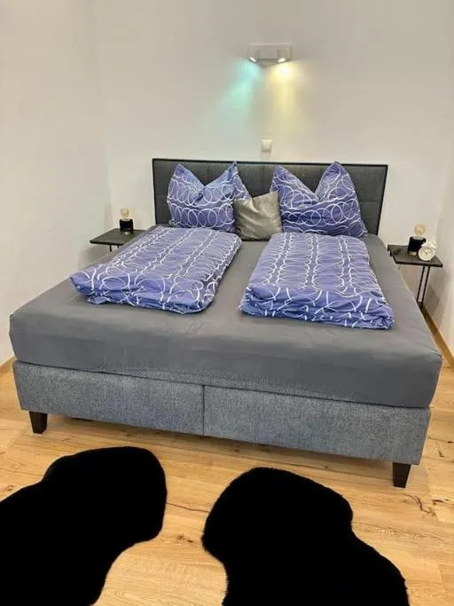 Image 6 of Zentraler Altbautraum