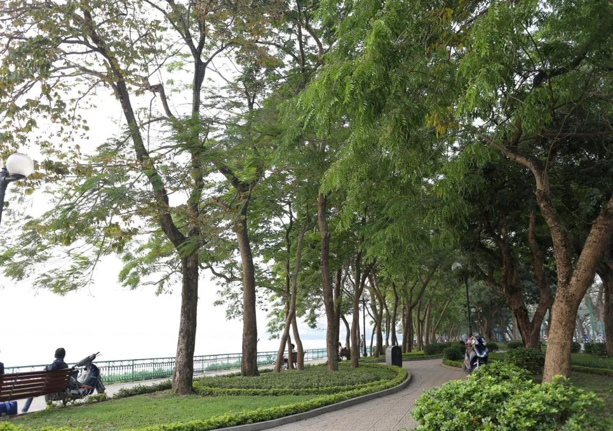 Image 5 of ARL Trúc Bạch No.1