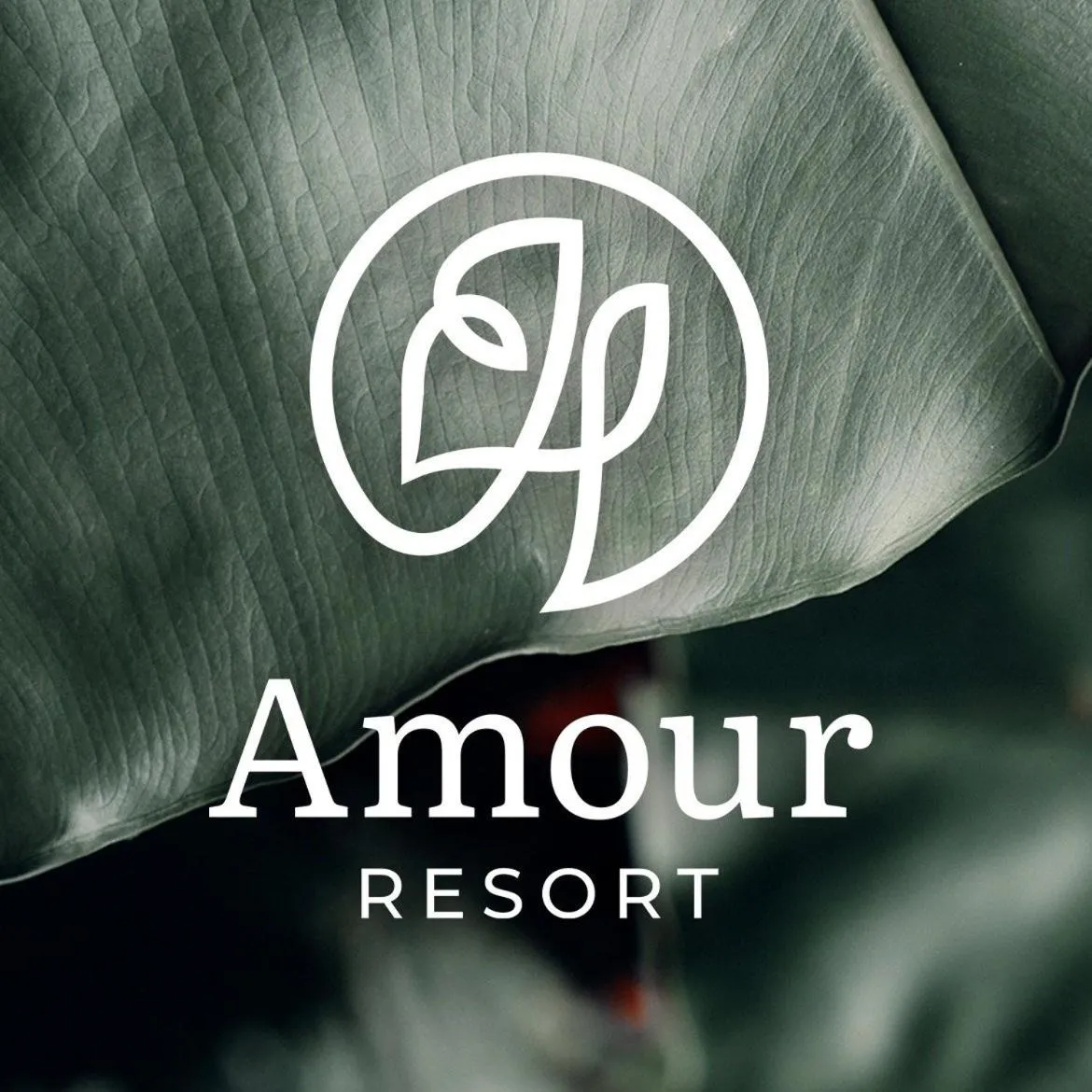 Image 3 of Amour Resort Bavi
