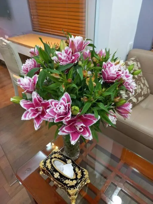 Image 3 of Căn hộ ấm cúng tại Ba Đình