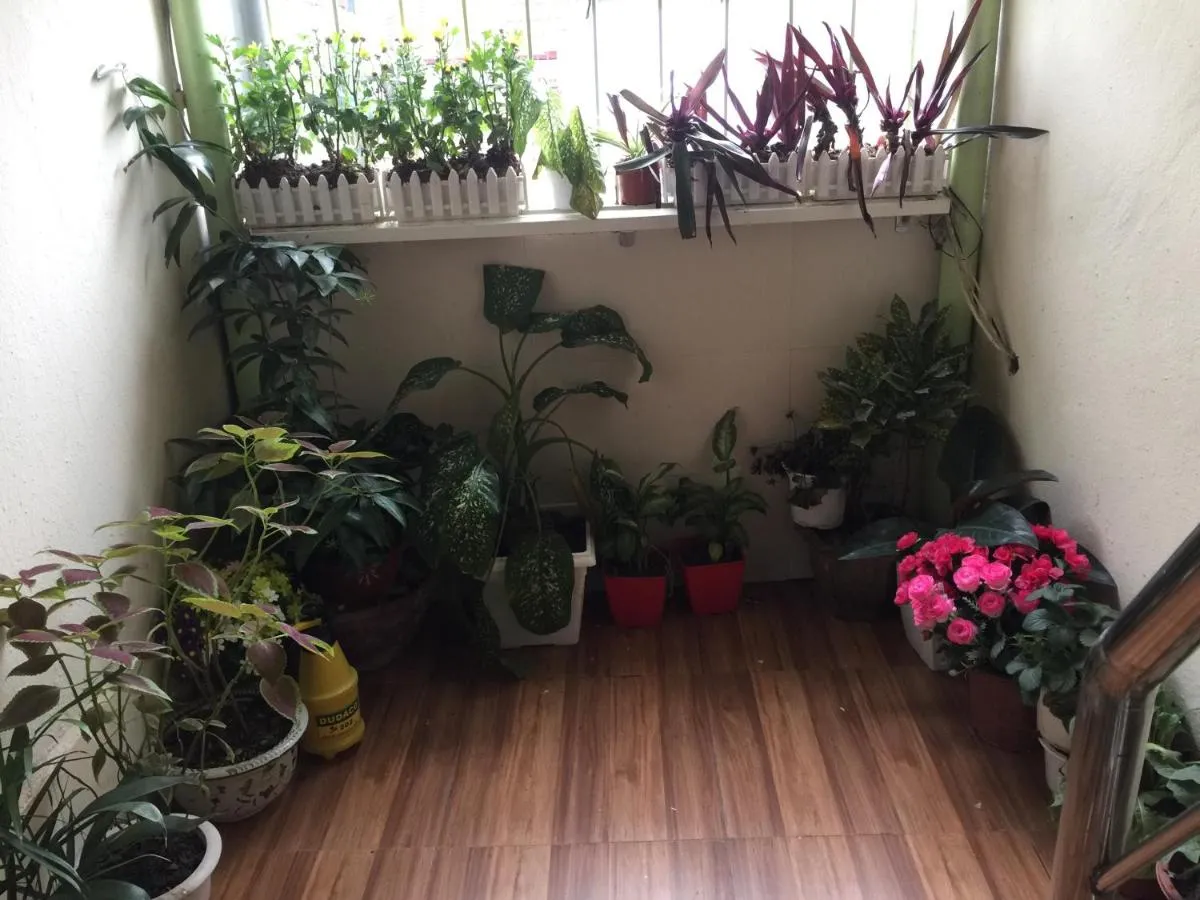 Image 4 of Cozy Homestay